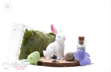 Load image into Gallery viewer, DIY Bunny Garden - Glass Fairies
