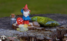 Load image into Gallery viewer, DIY Gnome Garden - Glass Fairies
