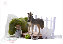Load image into Gallery viewer, DIY Horse Garden - Glass Fairies
