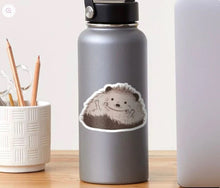 Load image into Gallery viewer, Hedgehog Sticker - Glass Fairies
